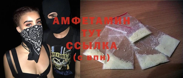 прущие грибы Аркадак