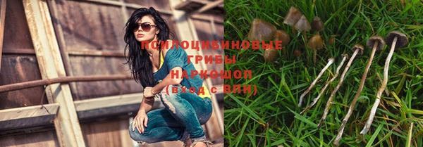 винт Саяногорск