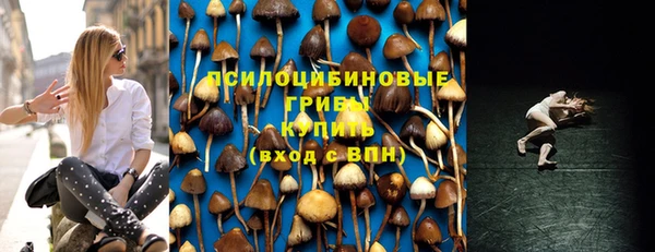 прущие грибы Аркадак