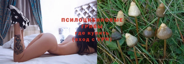 винт Саяногорск